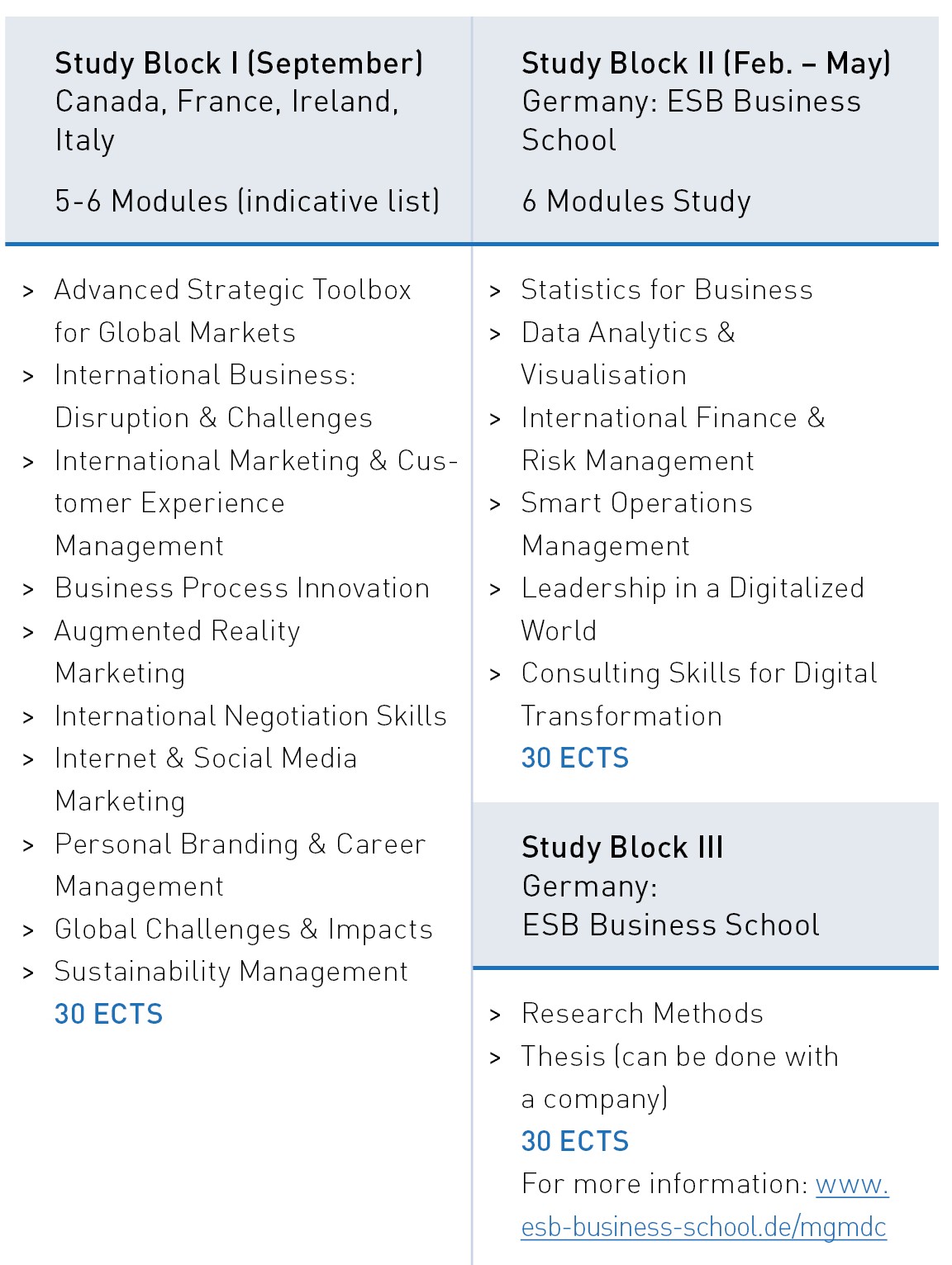 Course of MSc Global Management and Digital Compentencies