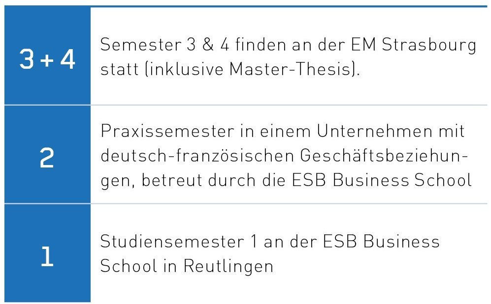 Ablauf des Studiums des MA European Management Studies