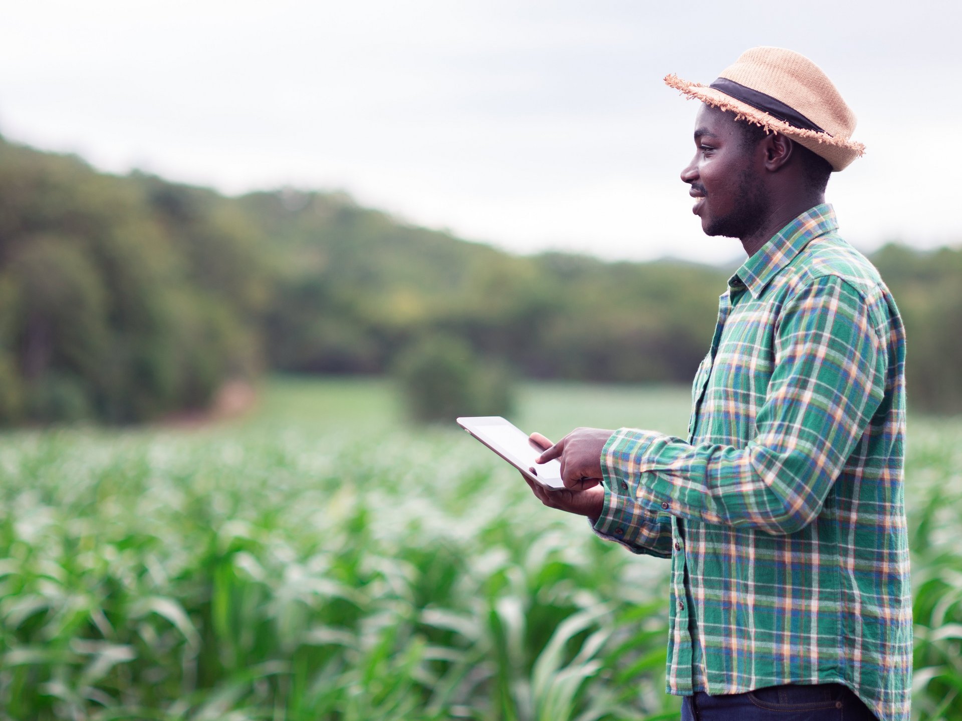 A man with a tablet in front of a field with growing crops